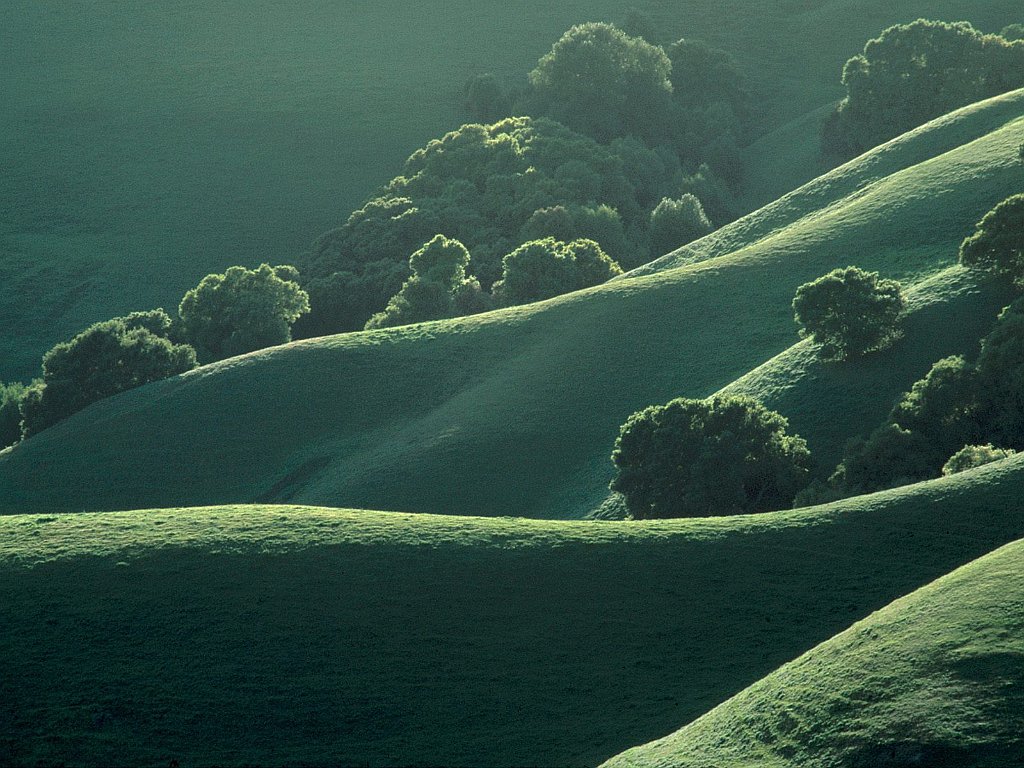 Grassy Ridgelines, Briones Regional Park, California